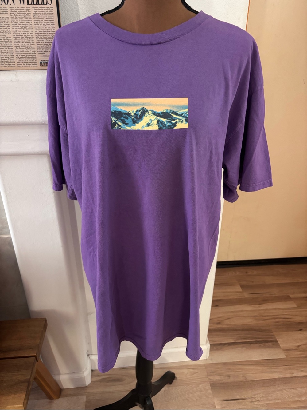 UO Purple Mountain Tops Graphic Crewneck T-Shirt SZ L.